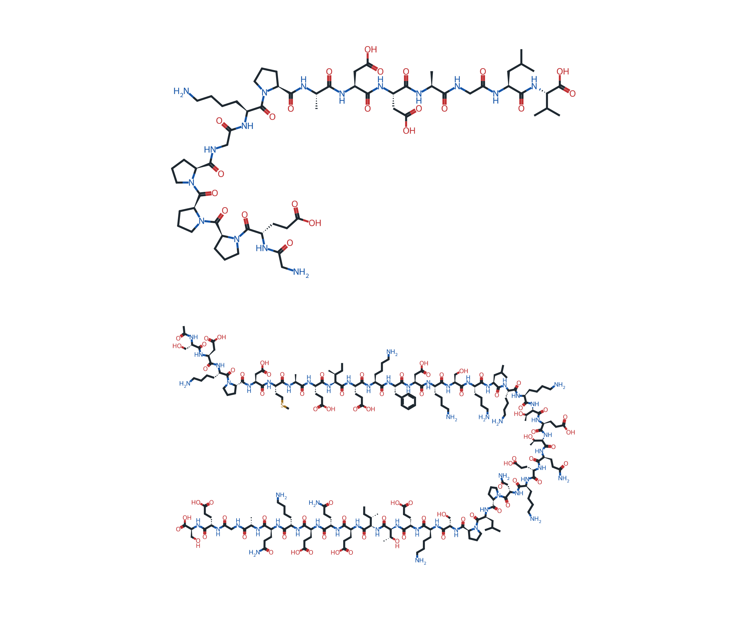 Molecular structures of BPC-157 and thymosin beta-4 for the BPC-157 + TB-500 blend.