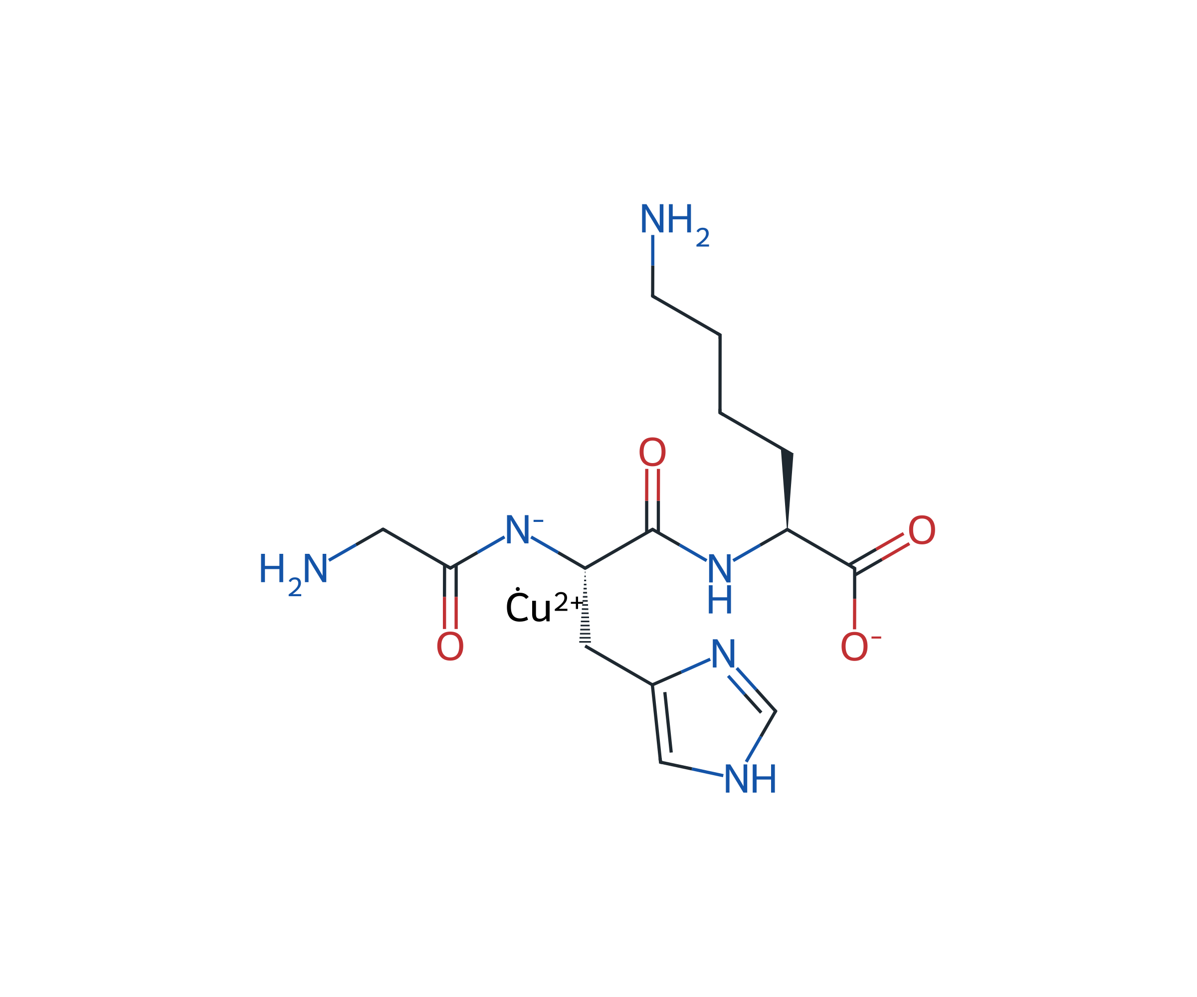 Ionic structure of GHK-Cu, the copper-binding tripeptide Gly-His-Lys.